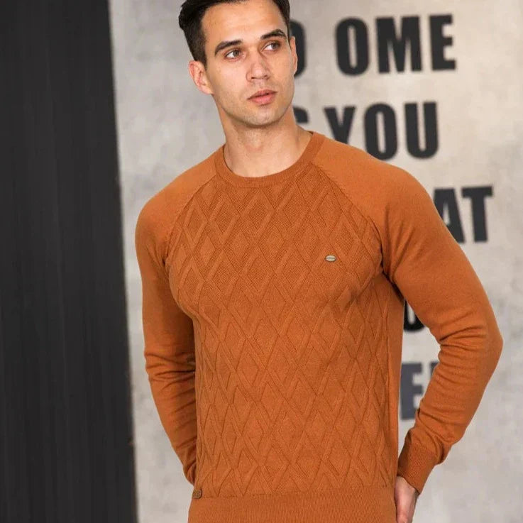Pull pour hommes Argilian 100% coton